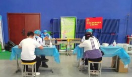 全冠积木最新品爆料,创意无限，童趣盎然，打造儿童益智新天地”