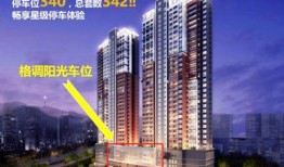 深圳罗湖东湖区最新爆料